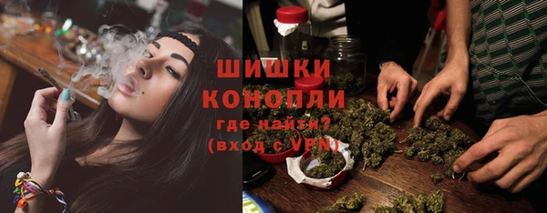 прущие грибы Няндома