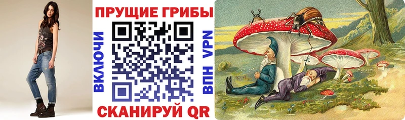 Галлюциногенные грибы мицелий  это наркотические препараты  Тихвин 