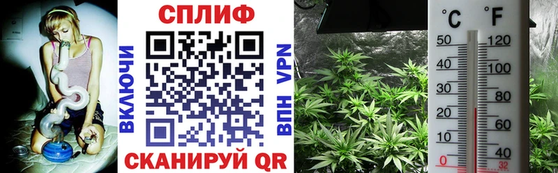 Бошки Шишки Ganja  ссылка на мегу ССЫЛКА  Тихвин  как найти наркотики 